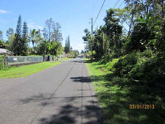 3rd image of Iao St Lot 4