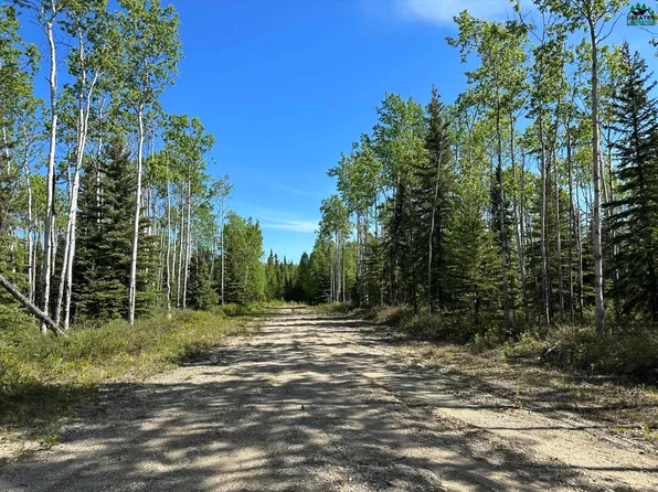 L7 Janie Ln, Delta Junction, AK 99737