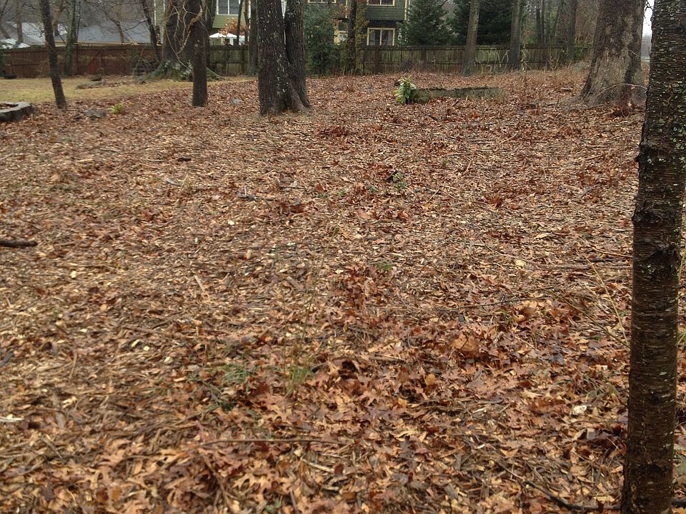 2nd image of Locust St