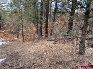 1520 Crooked Rd, Pagosa Springs, CO 81147