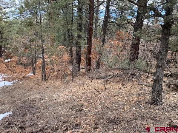 1520 Crooked Road, Pagosa Springs, CO 81147