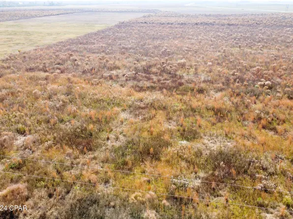 SE Oak Grove Rd, Wewahitchka, FL 32449