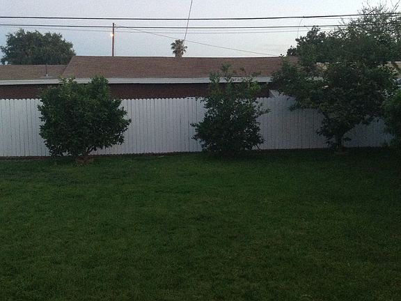 Large Backyard w/ Citrus