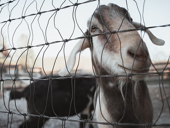 96th image of this home