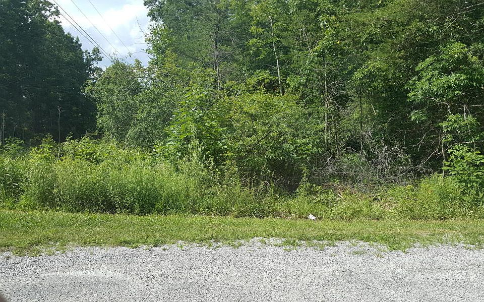 2nd image of 157 Bluebird Dr