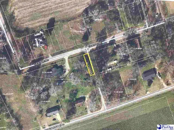 Lester Rd, Dillon, SC 29536