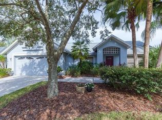 9220 Dayflower Dr, Tampa, FL 33647