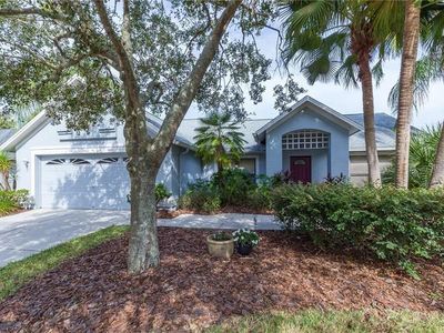 9220 Dayflower Dr, Tampa, FL, 33647
