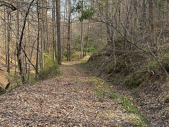 3rd image of 110 Green Branch Rd