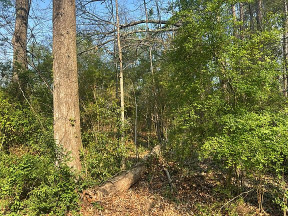 2nd image of 3211 Hamilton Rd
