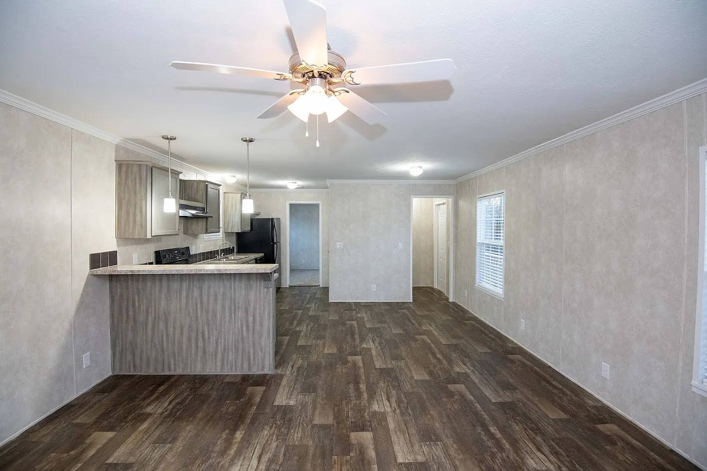 3 bed, 1050 sqft, $1,100 — Photo 2