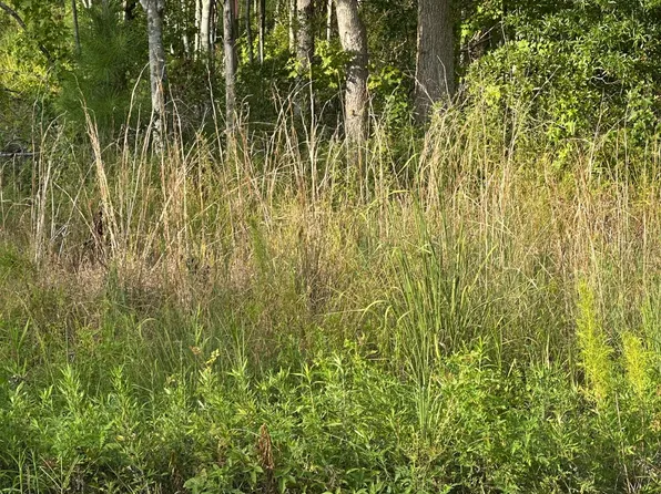 0 Hoover Rd, Branchville, SC 29432