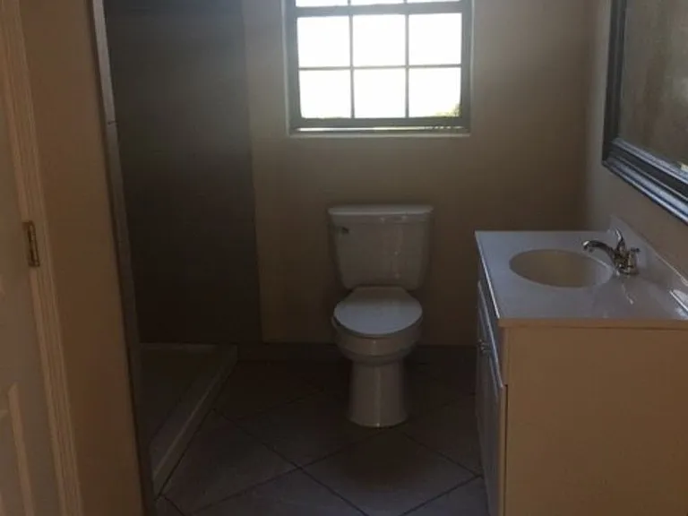 210 Pineleaf Ln — Photo 21