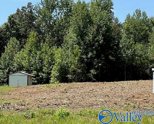 2nd image of TRACT 1 Flanagan Rd