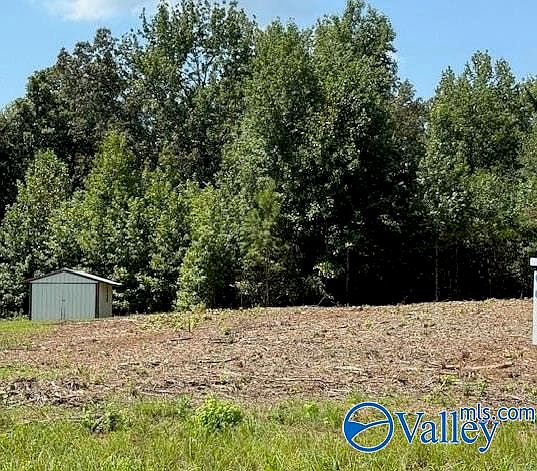 2nd image of TRACT 1 Flanagan Rd