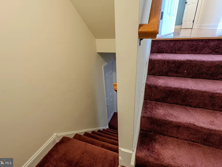 3365 Alydar Rd — Photo 50