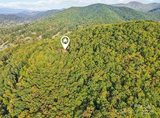 99999 Davis Creek Rd, Candler, NC 28715