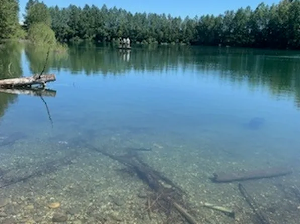 0 196th Avenue SW, Rochester, WA 98579