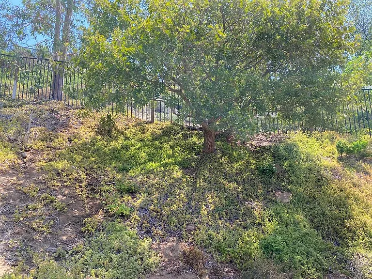 12594 Heatherfield Ln — Photo 11