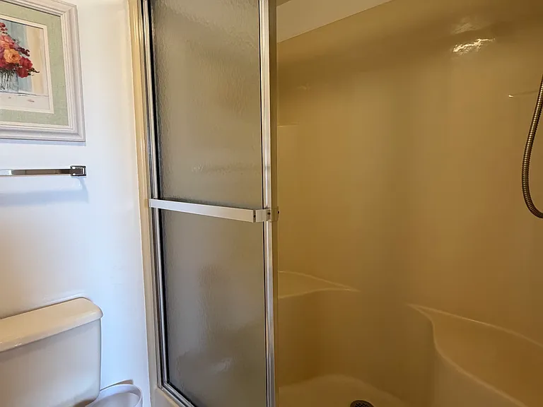 Primary walk-in shower