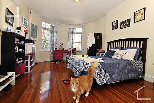 15 Strathmore Rd #4 Photo 1
