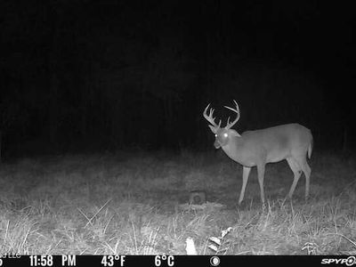 2738 County Farm Rd #A-d, Liberty, MS, 39645