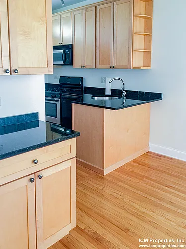 4820 N Paulina St #1 Photo 1 4820 N Paulina St #1 Photo 1