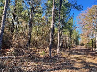 Polk Rd #31, Mena, AR, 71953