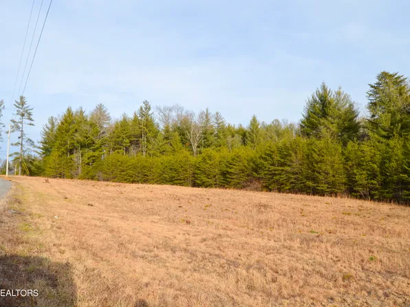 White Creek Dr, Deer Lodge, TN 37726