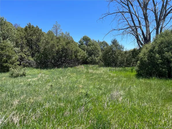 Canyon Drive, Trinidad, CO 81082