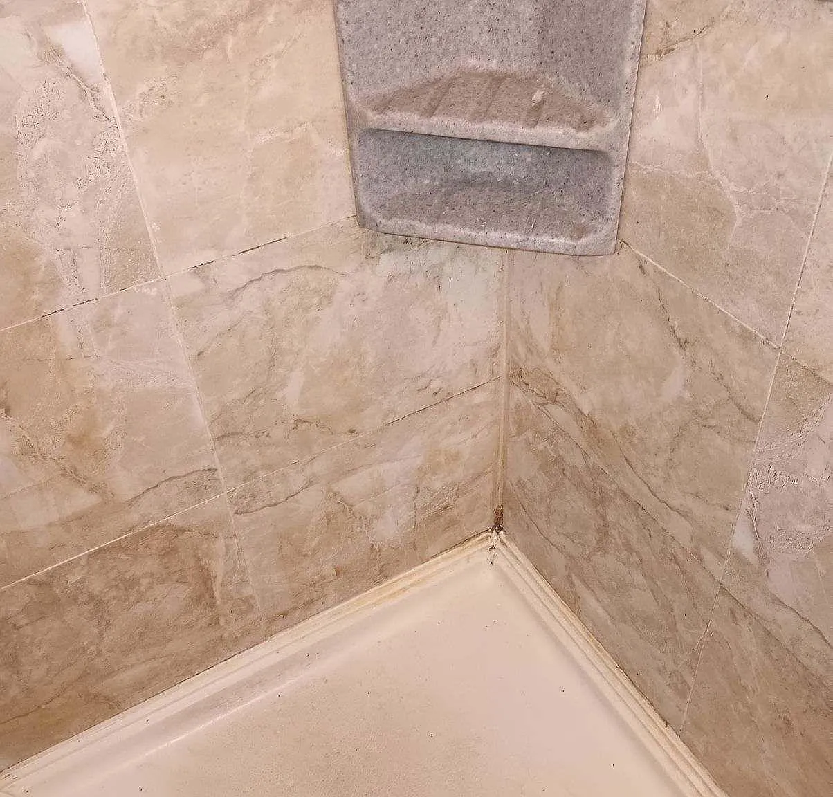 2 bed, $795 — Photo 3