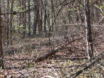 0 Laurel Mountain View Rd, Flat Rock, NC, 28731