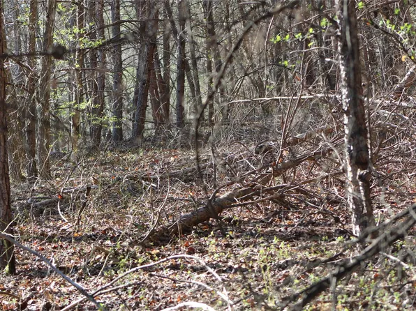 0 Laurel Mountain View Rd, Flat Rock, NC 28731