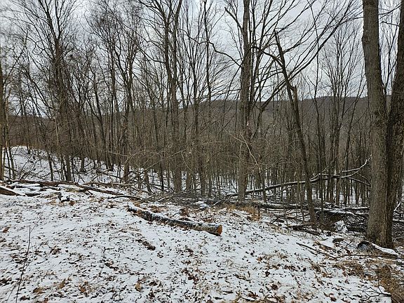 3rd image of 0 Darwin Rd