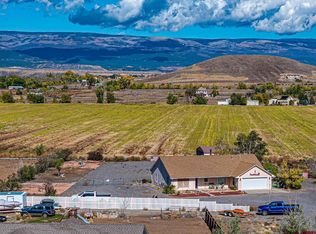 20465 Iris Road, Austin, CO 81410