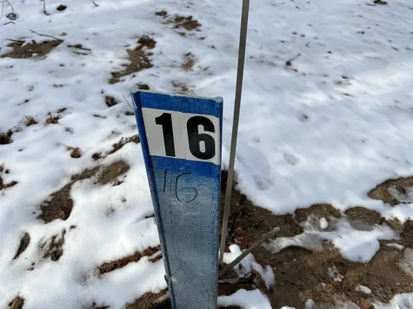 7980 Springwater Dr NW Lot 16, Rapid City, MI 49676