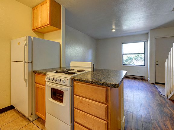 2311 Spruce Street Kitchen