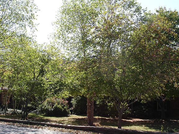 View of the entire length of this home