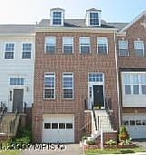 Tavistock Colonial Charmer