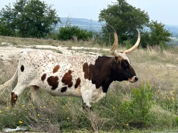 LOT 71 Great Sky Ave. LOT 71, Kerrville, TX 78028