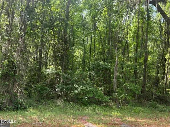 0 Young Man Rd NE, Townsend, GA 31331
