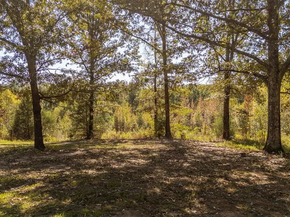 3000 Pleasant Site Rd, Selmer, TN 38375