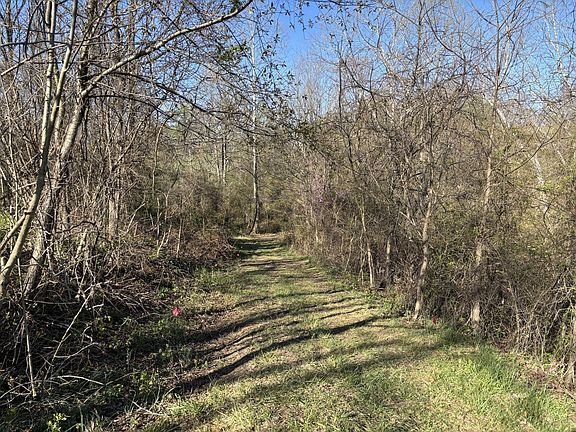 3rd image of Locust Ln