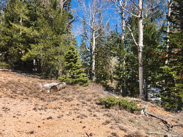 590 W Kokopelli Loop, Brian Head, UT 84719