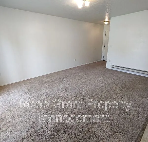 385 Golden St #2 — Photo 3