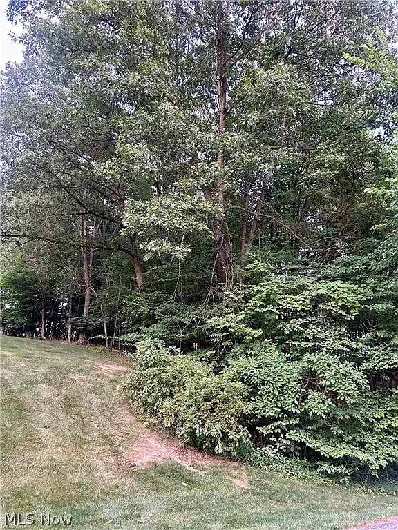 91 Oneida Trl photo 1