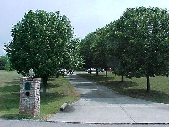 Tree lined entry for curb appeal extrordinaire!  Brick mailbox - QUALITY HOME!