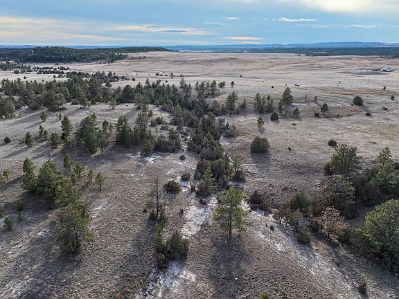 Dji Fly 20260210 153930 0799 1771352765316 Photo