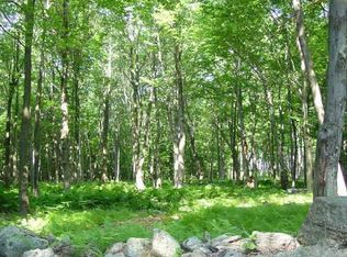 Beach Hill Rd E, Bridgewater, CT 06752