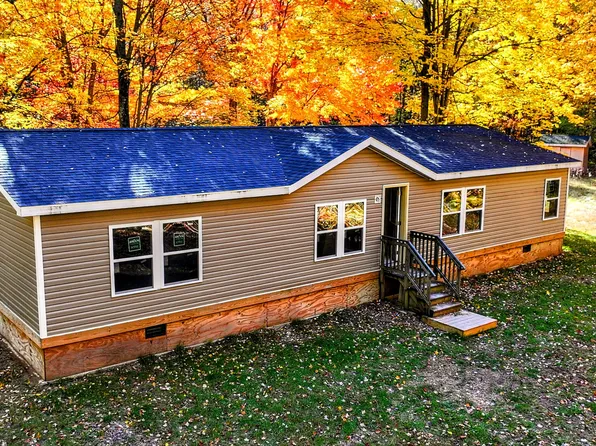 9370 N Brooks Rd, Irons, MI 49644